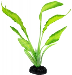 Plant 048