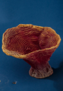 Искуственный коралл Tubinaria Sp 13x11x8