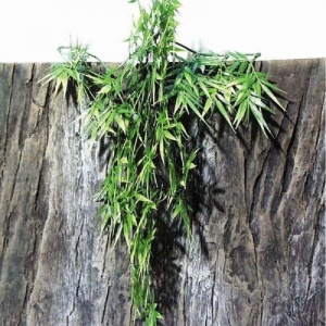 JBL TerraPlanta Madag.Bambus - Искусственное подвесное растение для террариумов, 40 см.