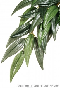 Тропическое растение EX Jungle Plants пластиковое Рускус среднее 55х25см PT3041 (H230414) H230414