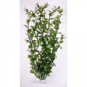 Растение аквариумное Hygrophila 1 (S)  15см.  606913
