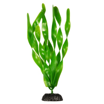 Пластиковое растение Plant 005 - Валиснерия широколистная, 20 см