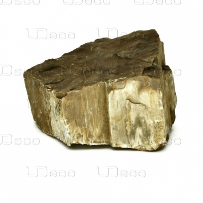 UDeco Fossilized Wood Stone L - Камень Окаменелое дерево для оформления аквариумов (15 - 25 см)