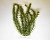 Растение аквариумное Anacharis 3 (L)  30см.  607002