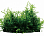 Искусственное растение композиция Аквариумные растения 26*13*11 см YS-80107