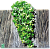 JBL TerraPlanta Congo Efeu - Искусственное подвесное растение для террариумов, 40 см.