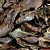 картинка UDeco Canyon Dragon - Натуральный грунт Драконовая крошка 5-90 мм 2л от компании Аксолотль