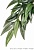Тропическое растение EX Jungle Plants пластиковое Рускус среднее 55х25см PT3041 (H230414) H230414