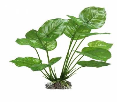 Искусственное растение АНУБИАС ШИРОКОЛИСТНЫЙ, 30 см, YM-5848