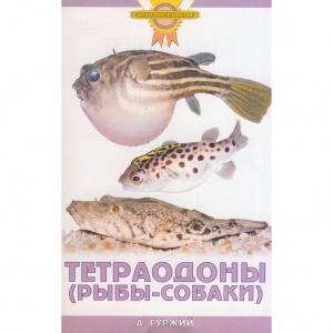 Гуржий А.Н. Тетрадоны (рыбы-собаки)