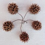 DECOTOP Storax balls – Плоды амбрового дерева 3-4 см, 5 шт.