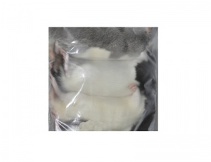 Крыса подросток (Вакумный пакет) 3 шт в упаковке АКВА-МЕНЮ