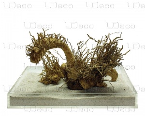 UDeco Bamboo hair root L - Натуральная коряга 