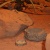 JBL ReptilCava GREY XL - Пещера для террариумных животных, серая	,1
