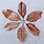 DECOTOP Magnolia S – Листья магнолии, 15-20 см, 10 шт.